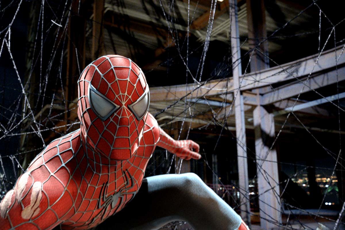 Detail Spiderman Hitam Nomer 24