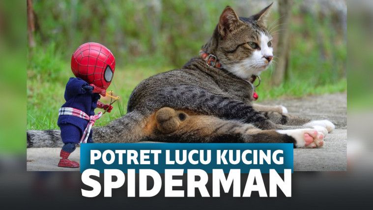 Detail Spiderman Lucu Kocak Nomer 44