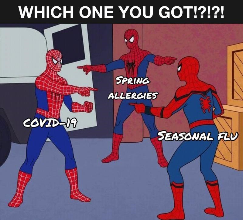 Detail Spiderman Who Are You Meme Nomer 16