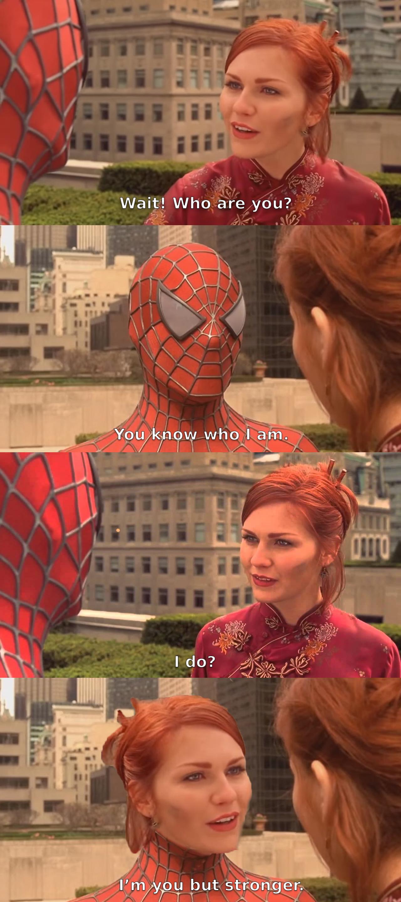 Detail Spiderman Who Are You Meme Nomer 6