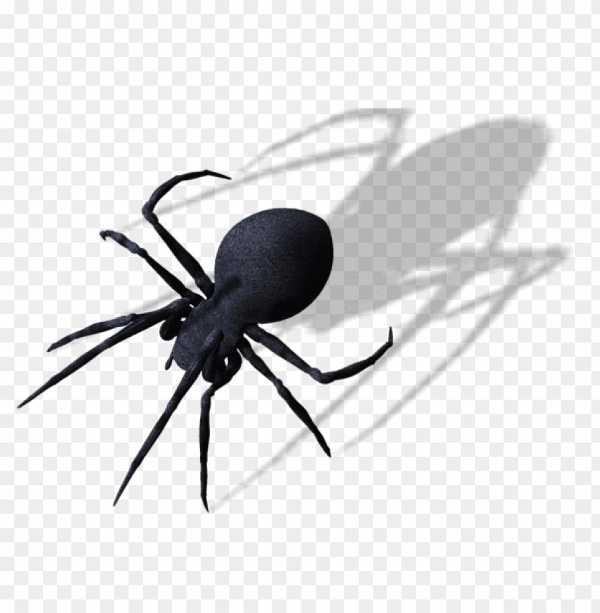 Detail Spiders Png Nomer 17