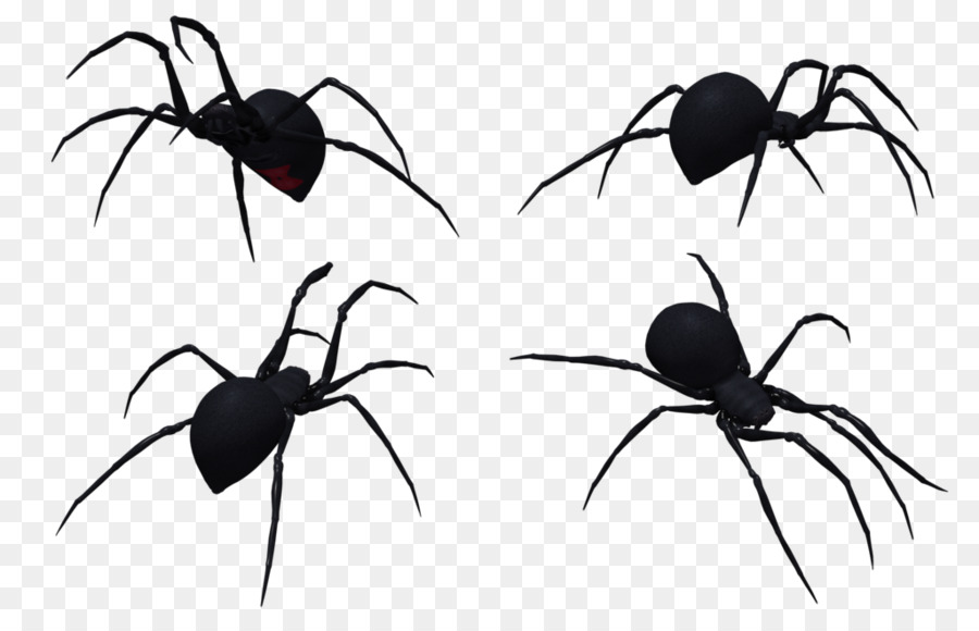 Detail Spiders Png Nomer 21