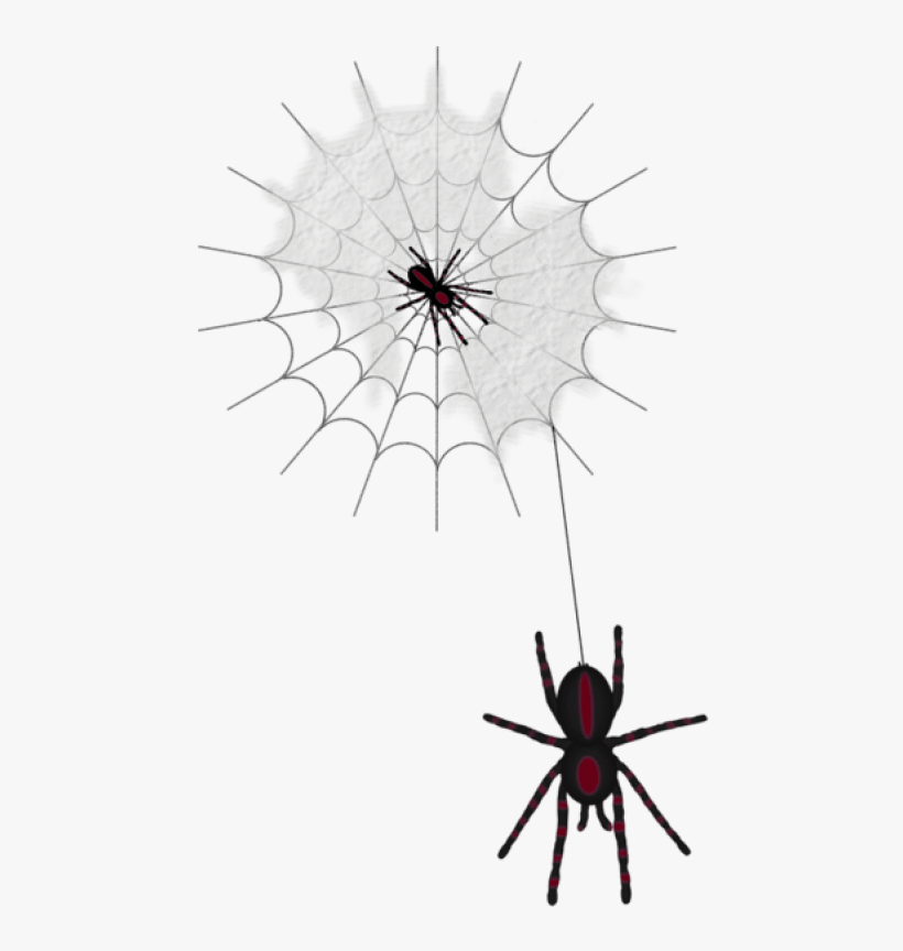 Detail Spiders Png Nomer 27