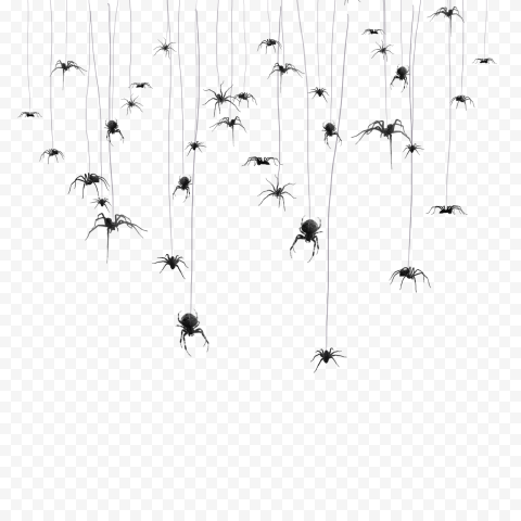 Detail Spiders Png Nomer 34