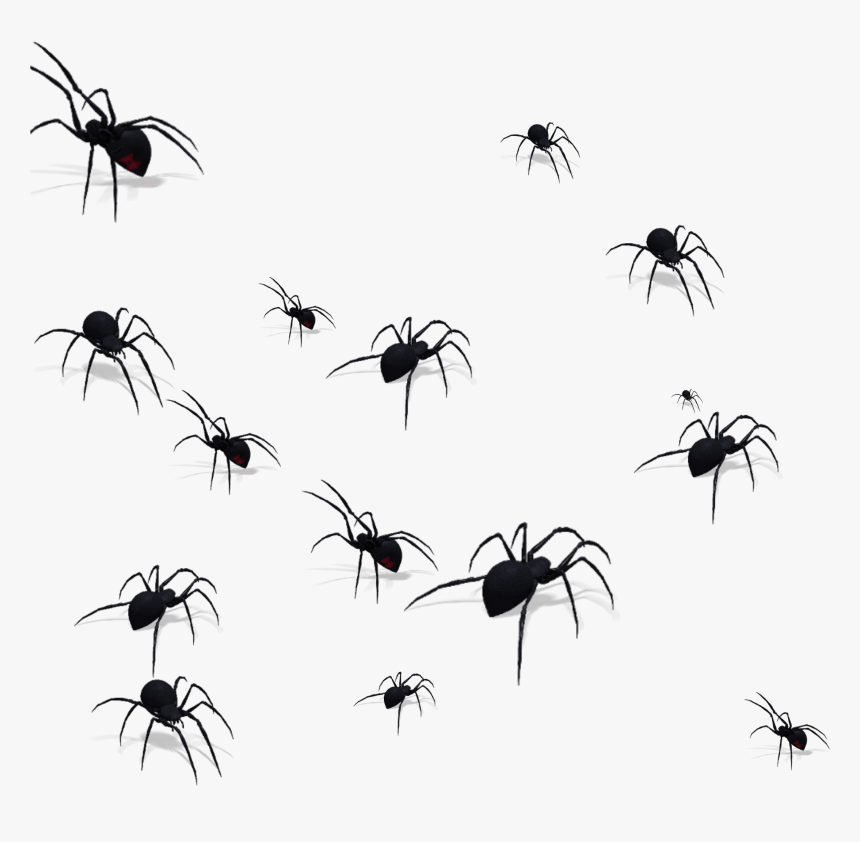 Detail Spiders Png Nomer 5