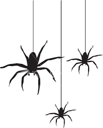 Detail Spiders Png Nomer 51