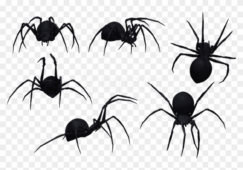 Detail Spiders Png Nomer 6