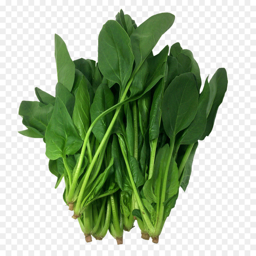 Detail Spinach Cartoon Png Nomer 16