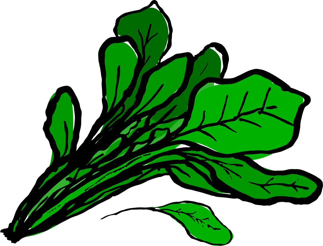 Detail Spinach Cartoon Png Nomer 27