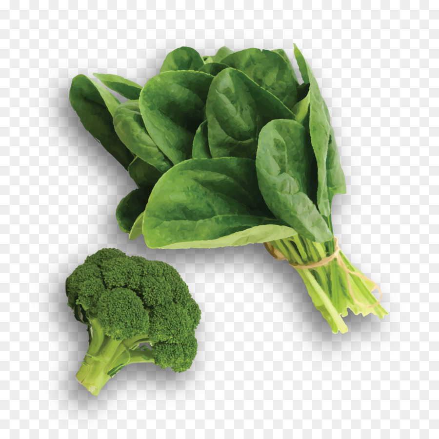 Detail Spinach Cartoon Png Nomer 28