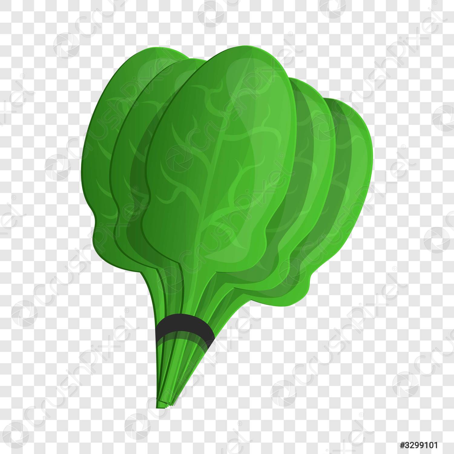 Detail Spinach Cartoon Png Nomer 46