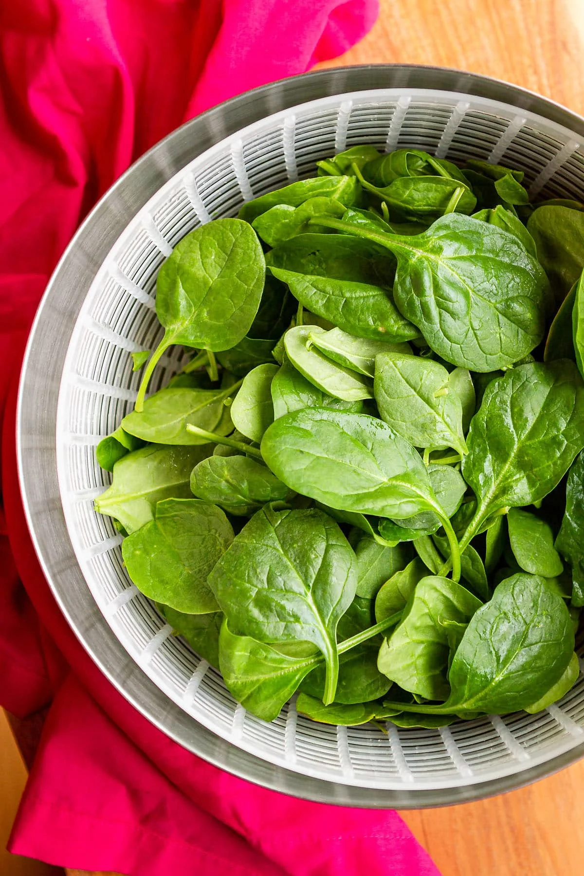 Detail Spinach Image Nomer 37