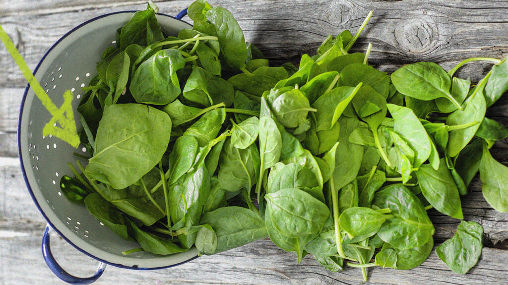Detail Spinach Images Nomer 12