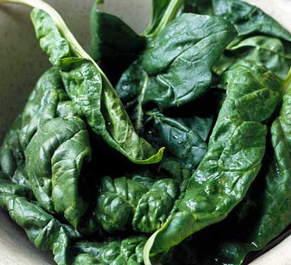 Detail Spinach Images Nomer 5