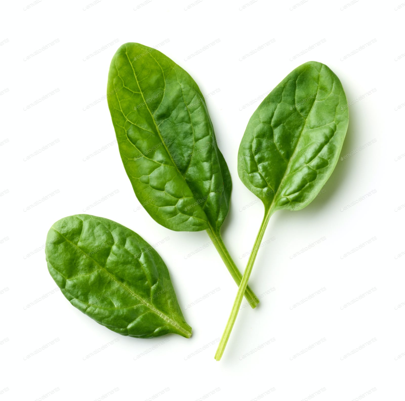 Detail Spinach Leaf Image Nomer 2