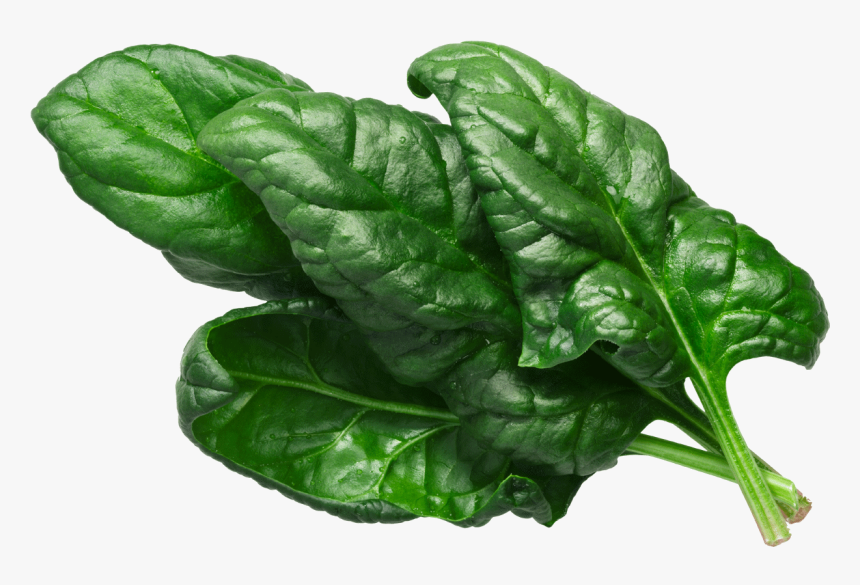 Detail Spinach Leaf Image Nomer 51