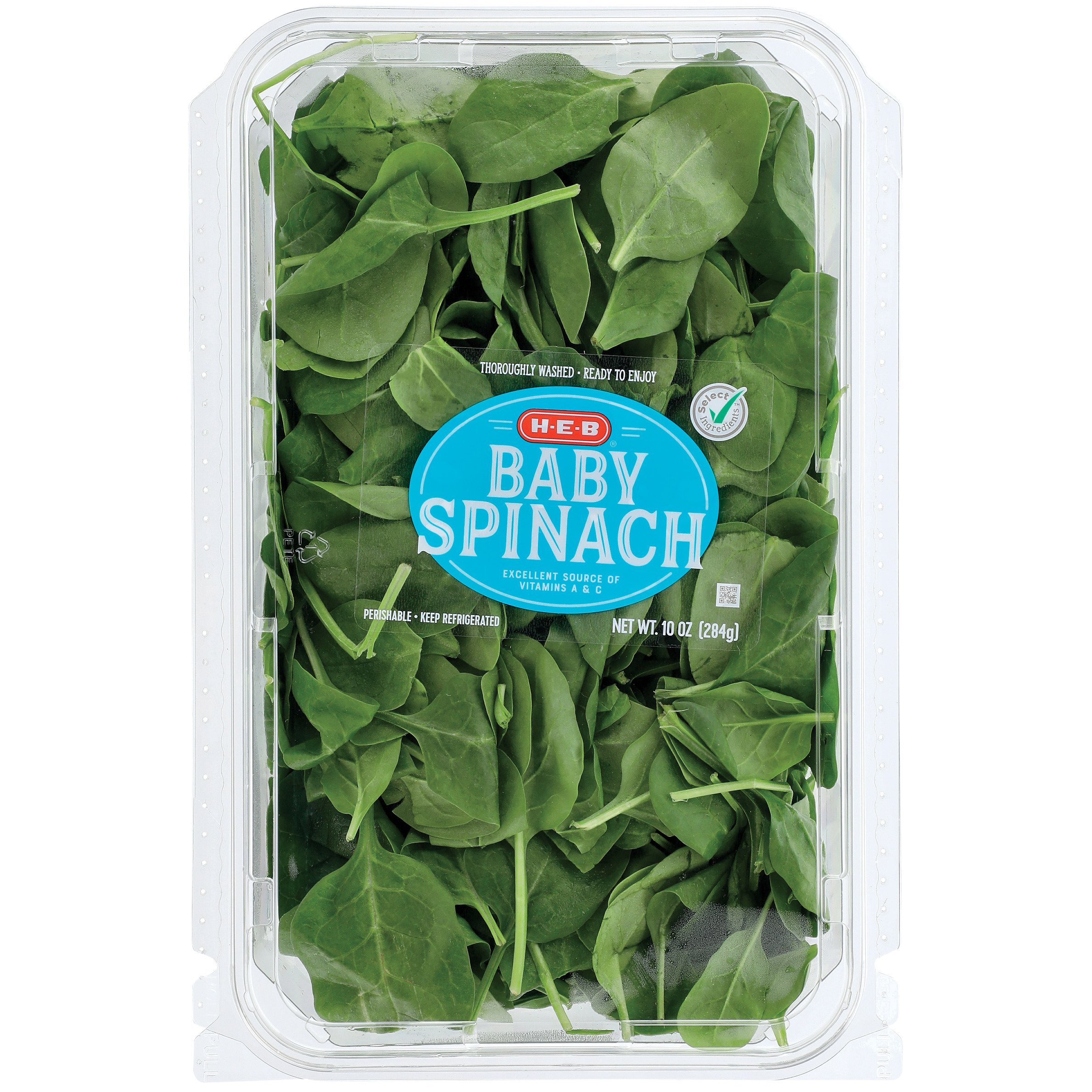 Detail Spinach Pic Nomer 17