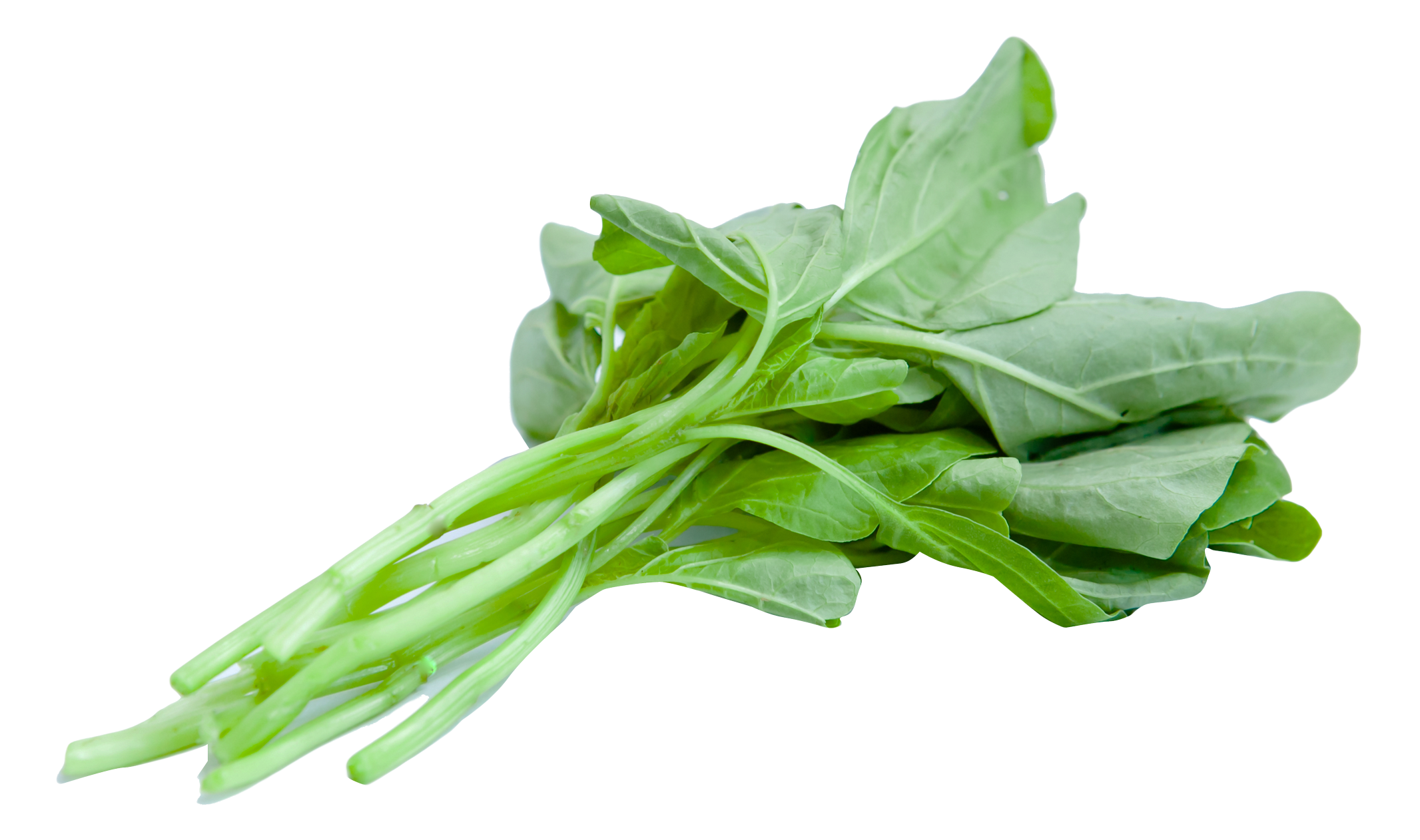 Detail Spinach Png Nomer 16