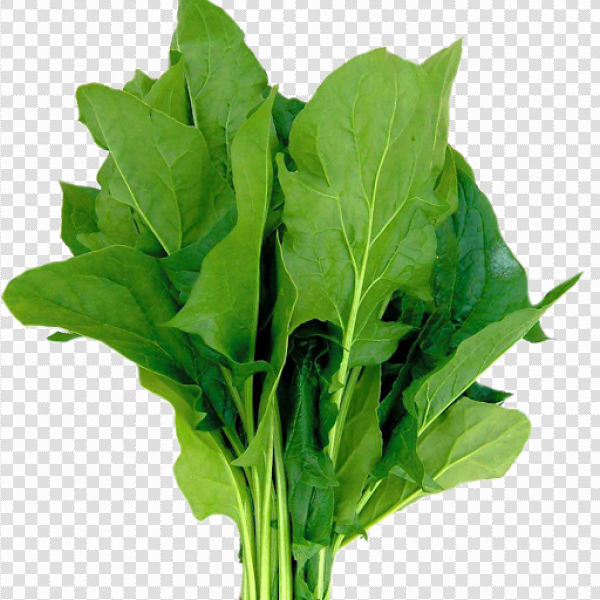 Detail Spinach Png Nomer 20