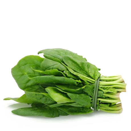 Detail Spinach Png Nomer 25