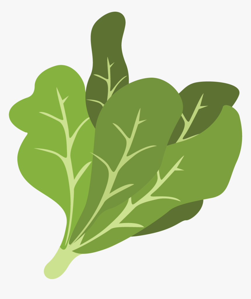 Detail Spinach Png Nomer 34