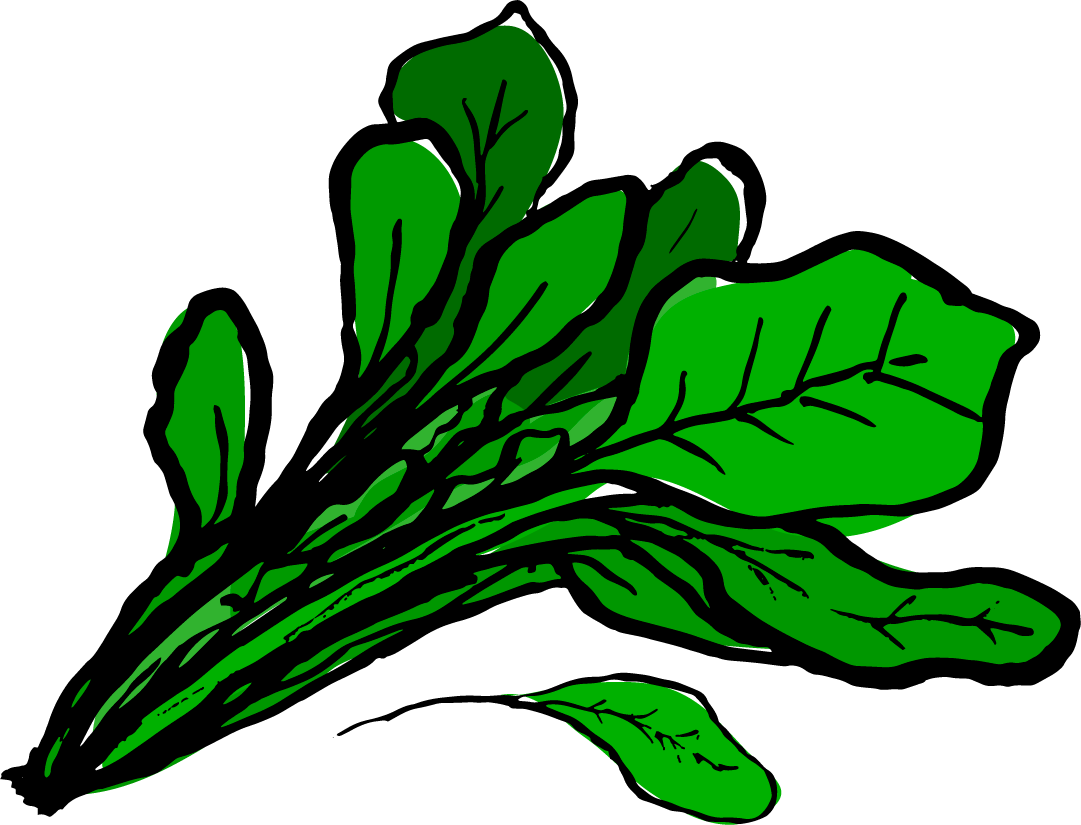 Detail Spinach Png Nomer 35