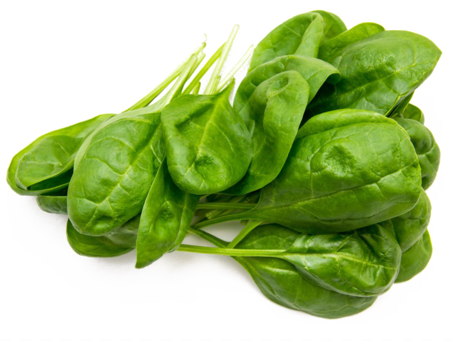 Detail Spinach Png Nomer 8