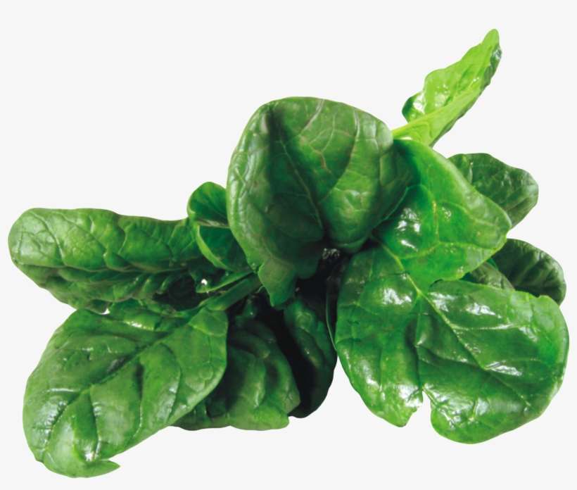 Detail Spinach Transparent Nomer 15