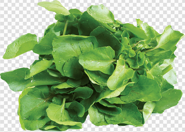 Detail Spinach Transparent Nomer 19