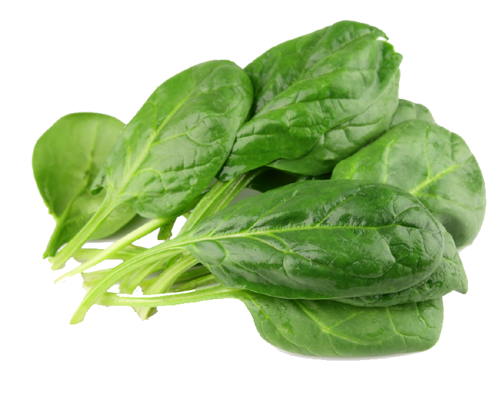 Detail Spinach Transparent Nomer 3