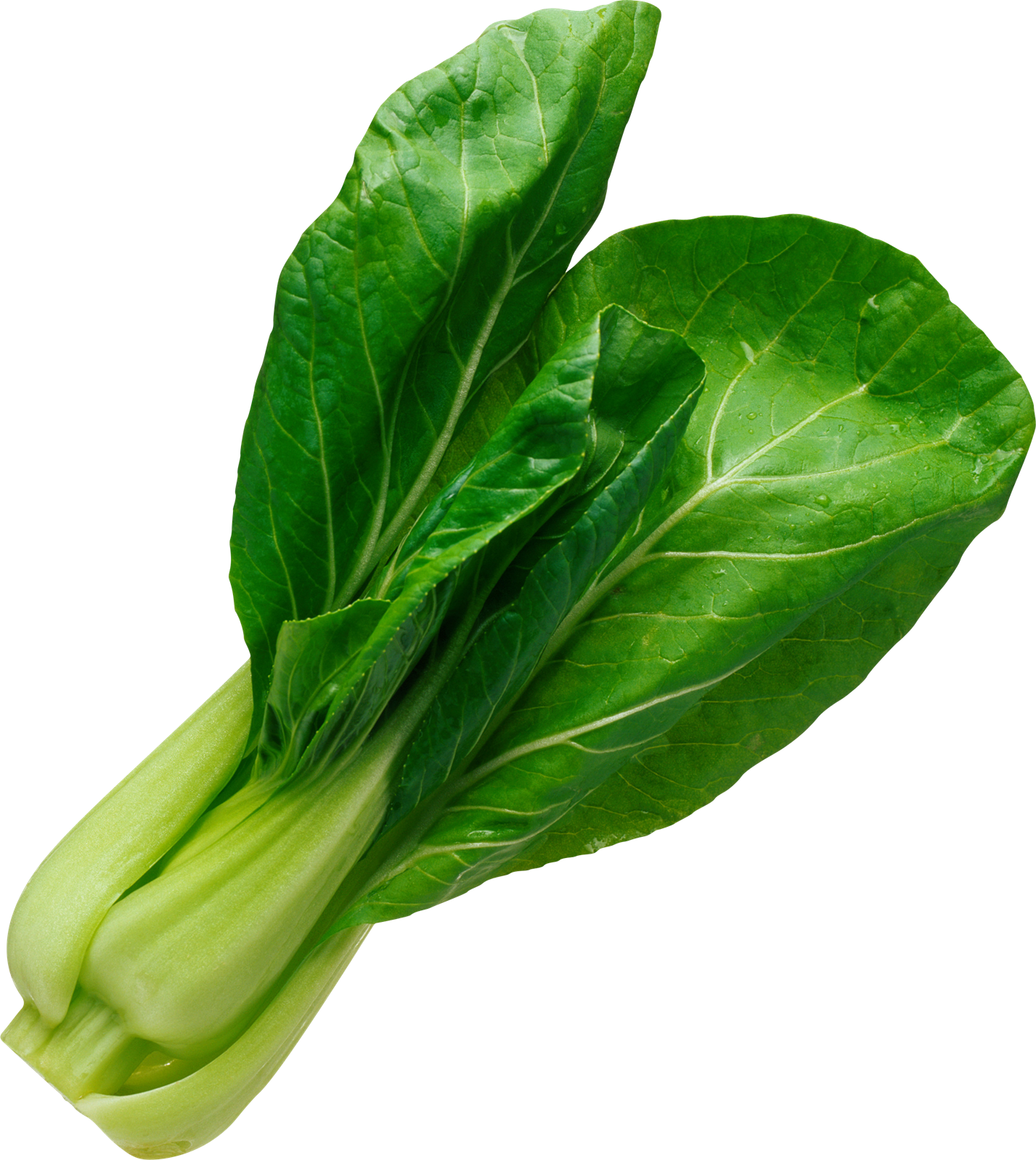Detail Spinach Transparent Nomer 28