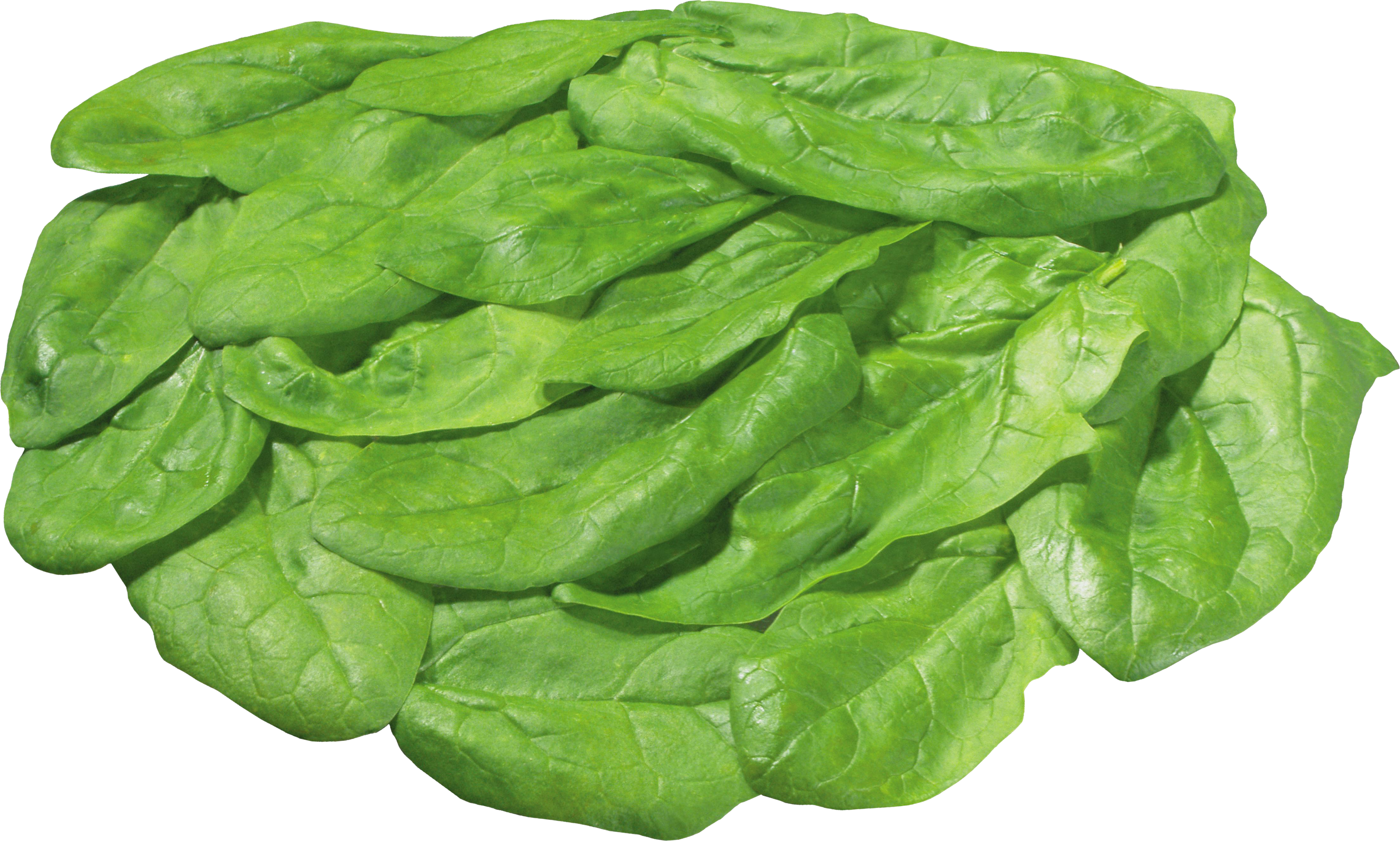 Detail Spinach Transparent Nomer 30