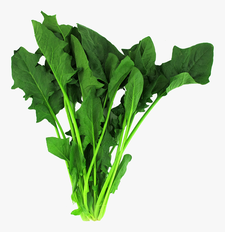 Detail Spinach Transparent Nomer 33