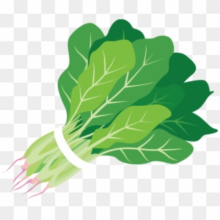 Detail Spinach Transparent Nomer 43