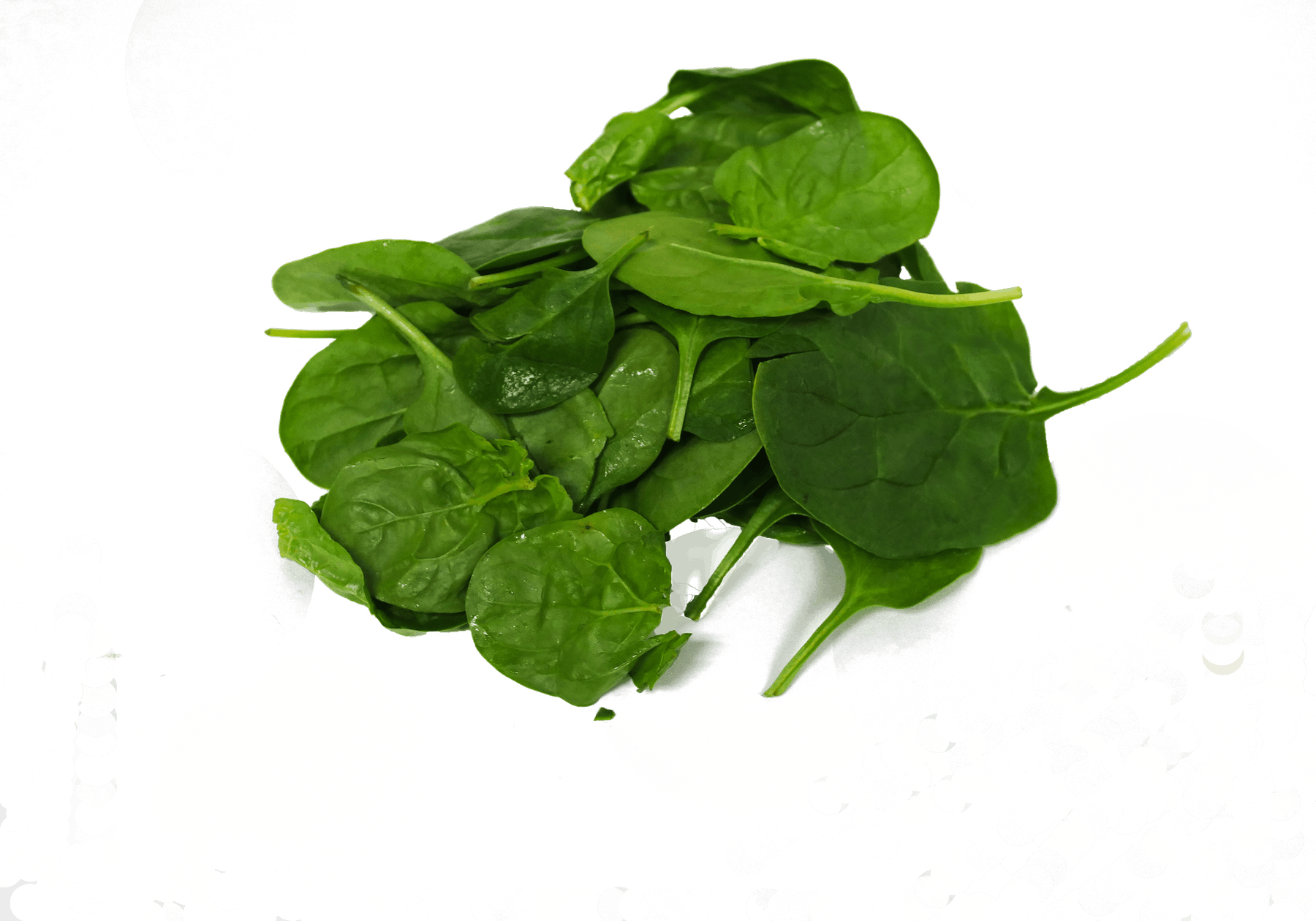 Detail Spinach Transparent Nomer 44