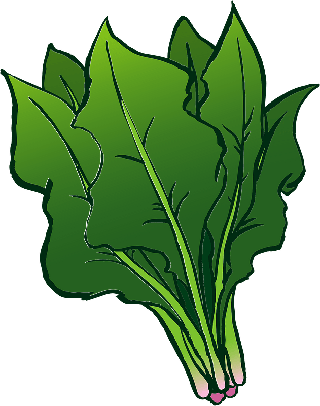 Detail Spinach Transparent Nomer 53