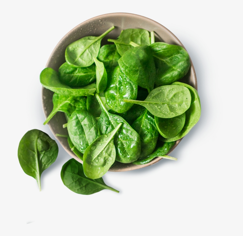 Detail Spinach Transparent Nomer 55