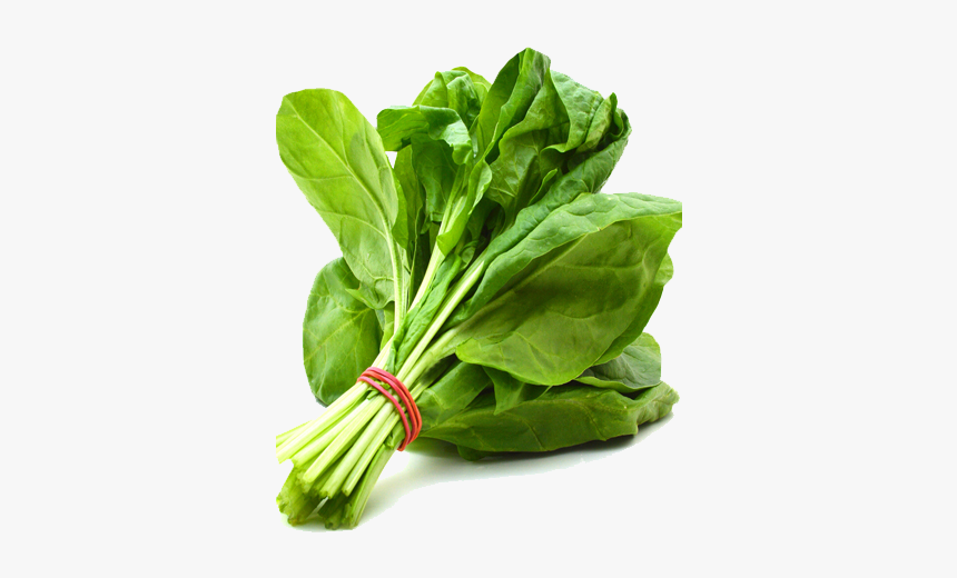 Detail Spinach Transparent Nomer 8