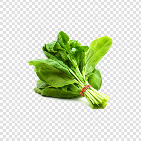 Detail Spinach Transparent Nomer 9
