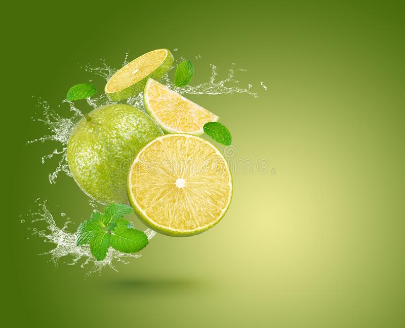 Detail Splash Of Lemon Nomer 48