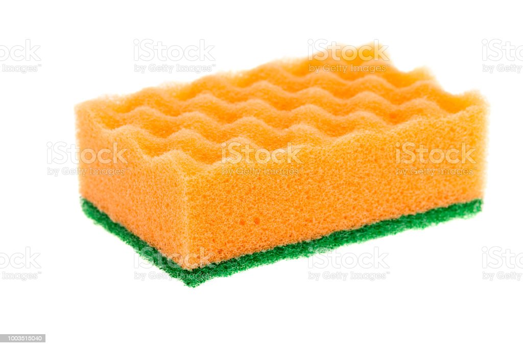 Detail Sponge Download Nomer 13