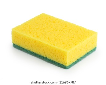 Detail Sponge Pic Nomer 3