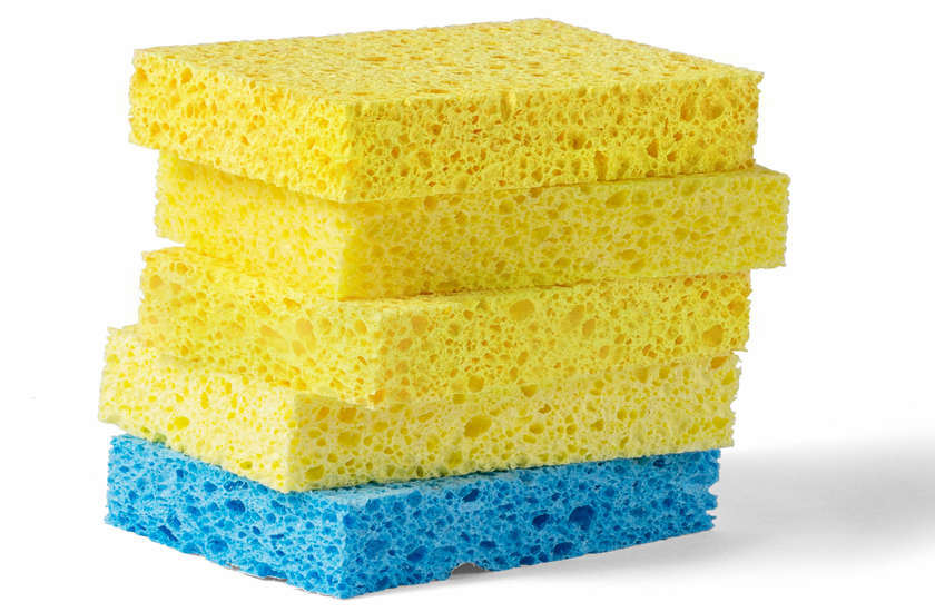 Detail Sponge Pic Nomer 4