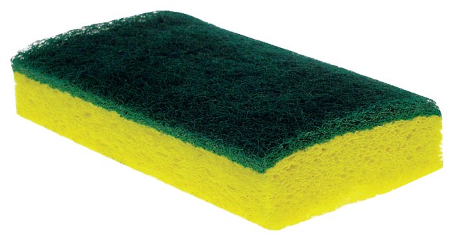 Detail Sponge Pic Nomer 9