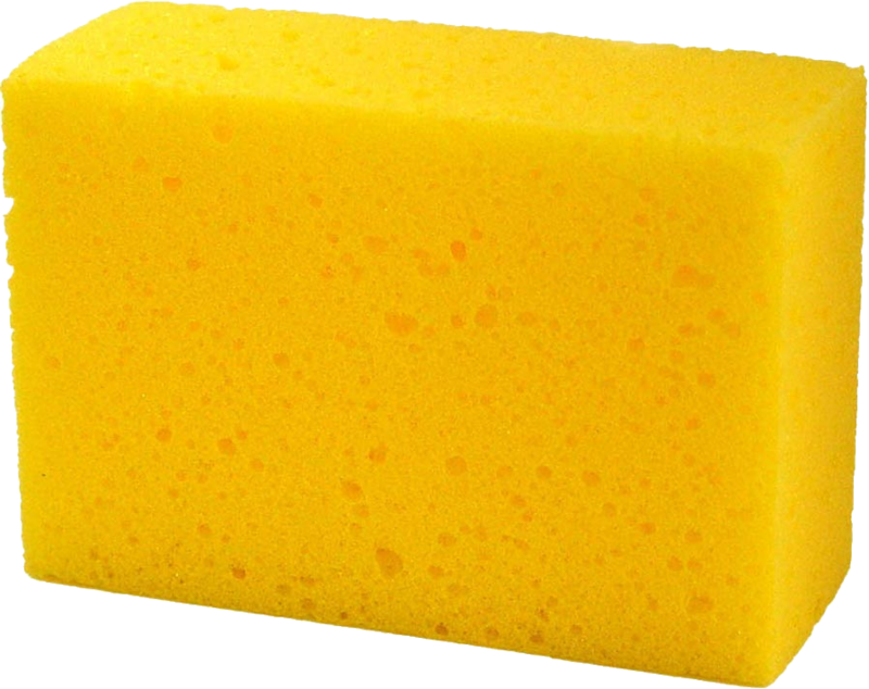 Sponge Transparent - KibrisPDR