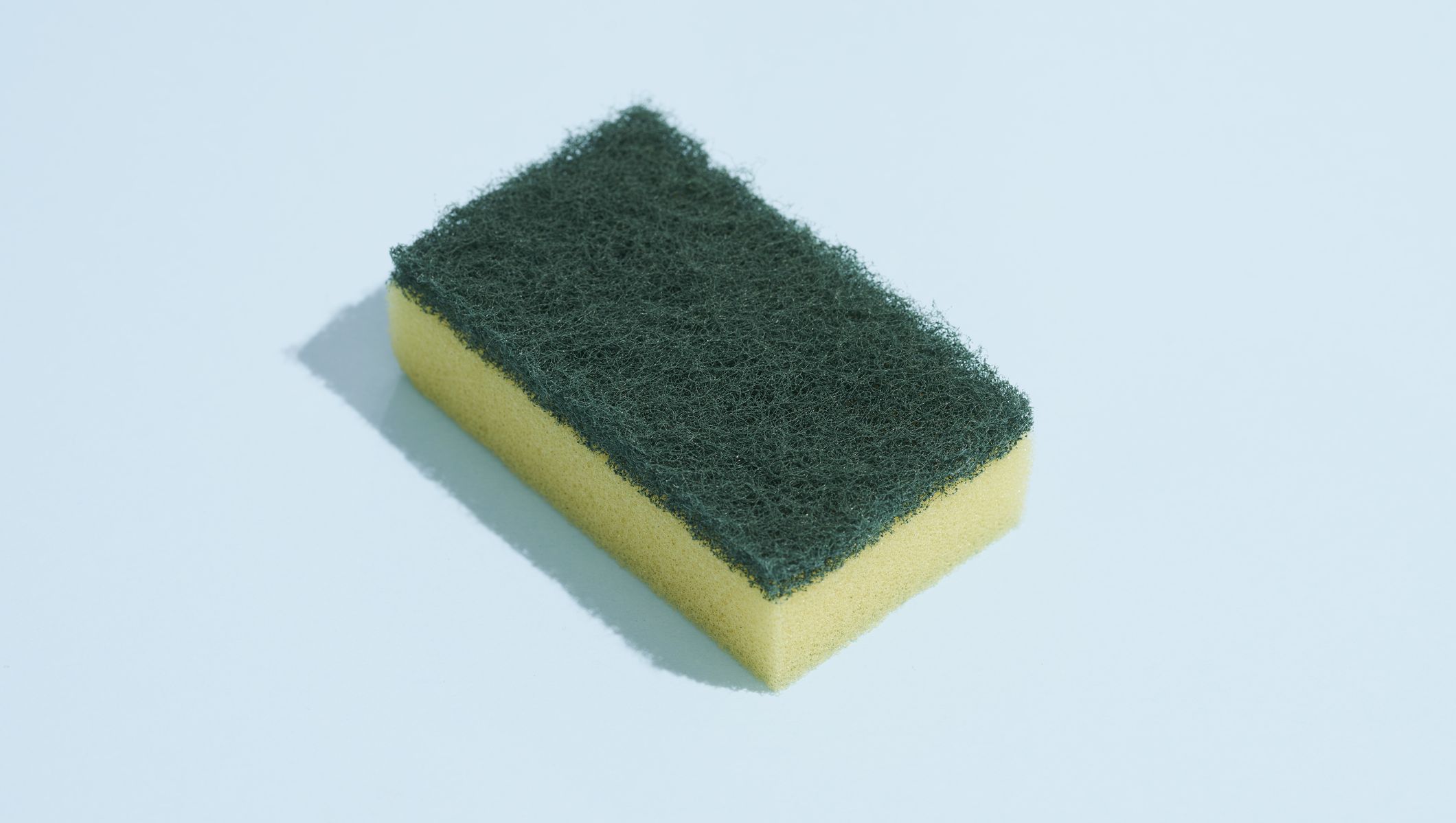 Detail Sponge Transparent Nomer 47