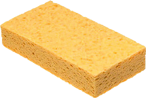 Detail Sponge Transparent Background Nomer 9