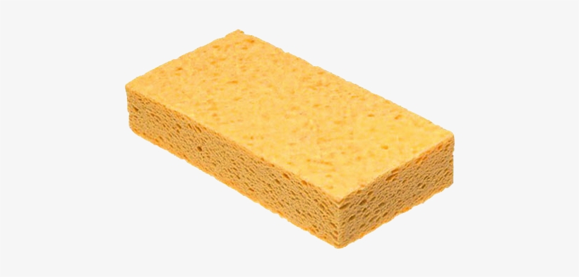 Detail Sponge Transparent Background Nomer 10