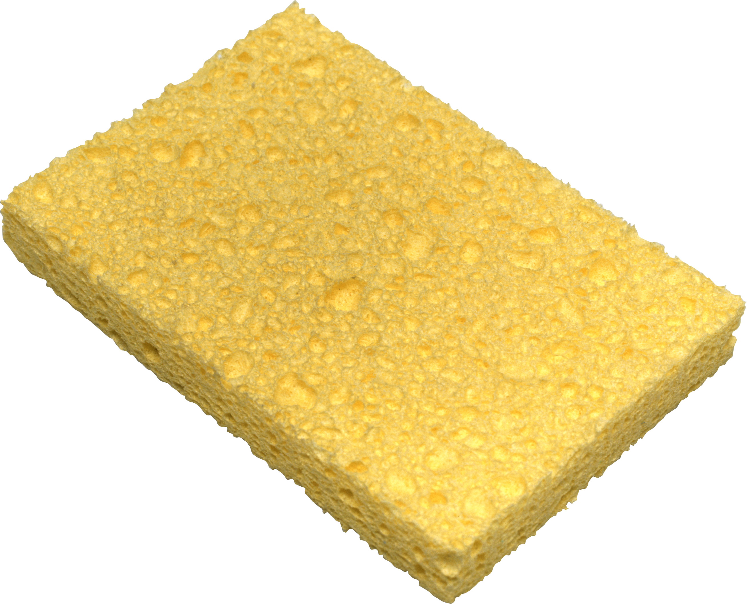 Detail Sponge Transparent Background Nomer 2