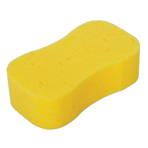 Detail Sponge Transparent Background Nomer 15